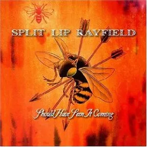 Should have seen it coming